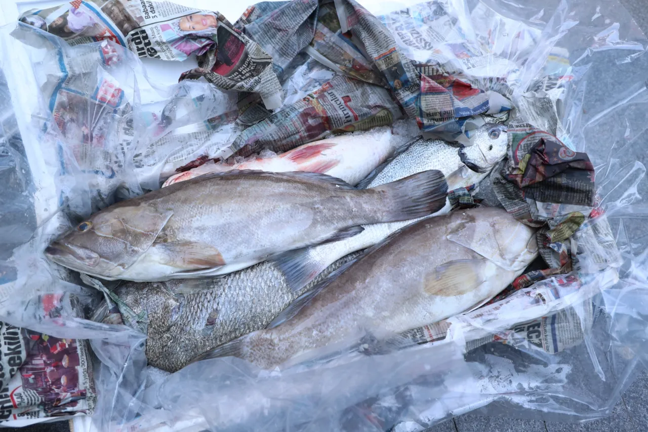  Antalya'da 260 kilo balığa el konuldu