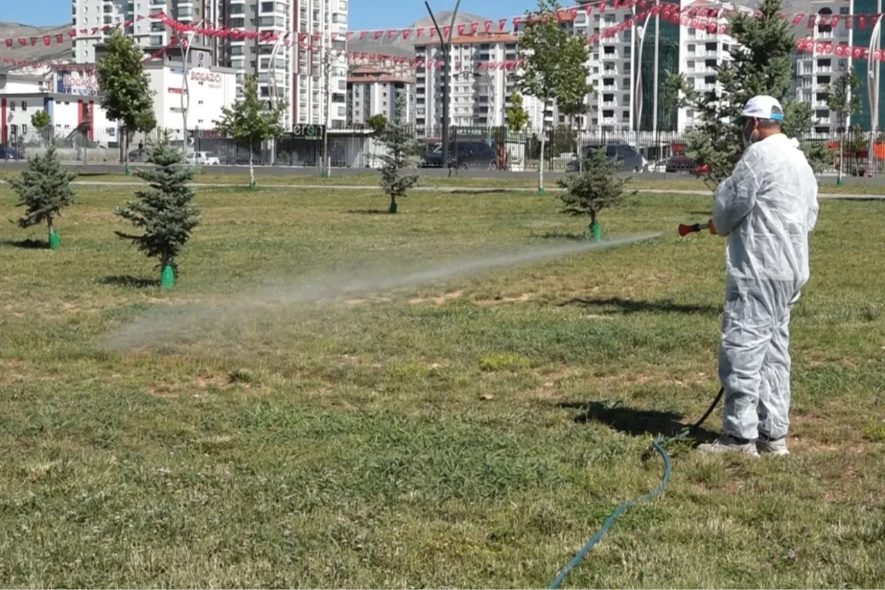 Malatya'da vektörel mücadele sürüyor
