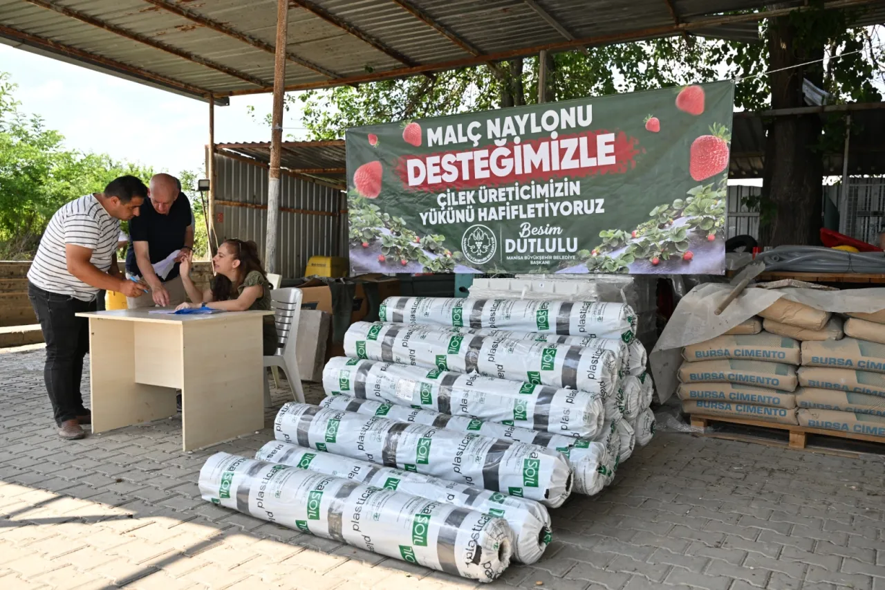Manisa’da çilek üreticisine Büyükşehir’den destek