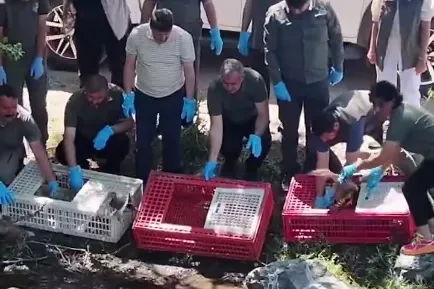 Bursa'da tedavileri tamamlanan yaban hayvanlar doğaya salındı
