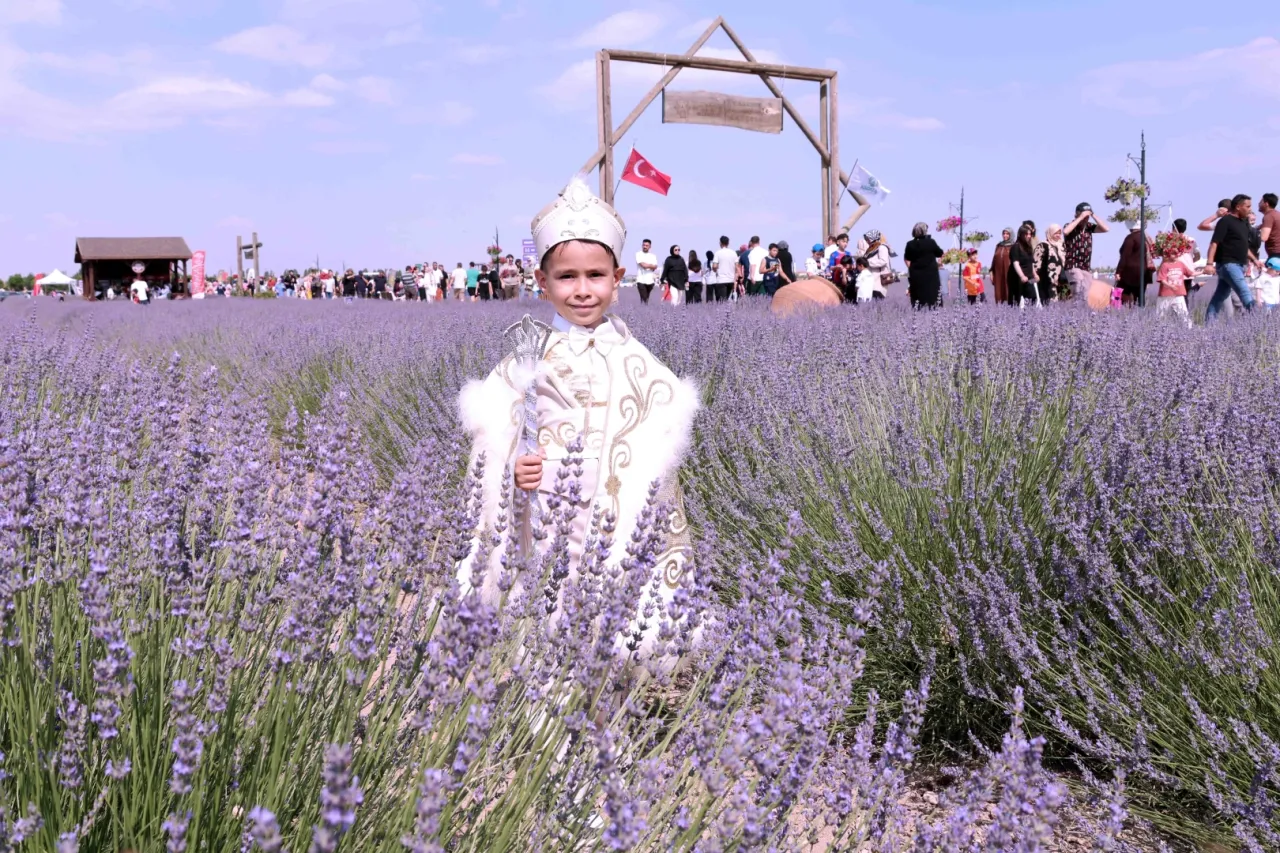 Konya Karatay'da Lavanta Bahçesi'nde festival hazırlığı