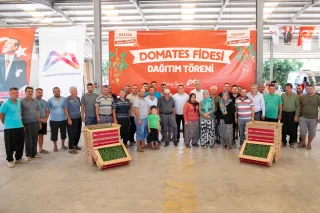 Mersin’de üreticiye domates fidesi desteği