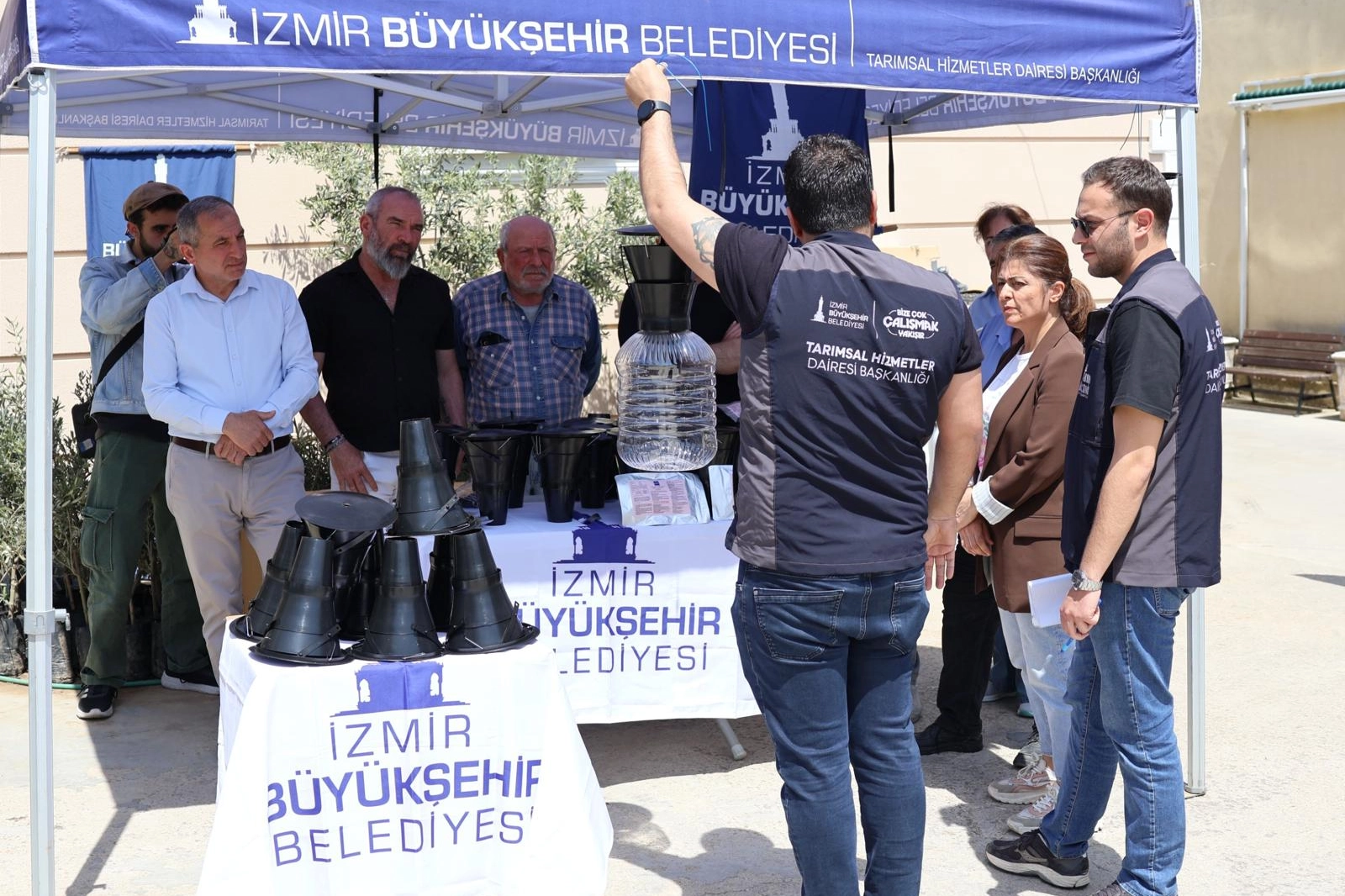 İzmir'de kahverengi kokarca böceğine karşı tuzak