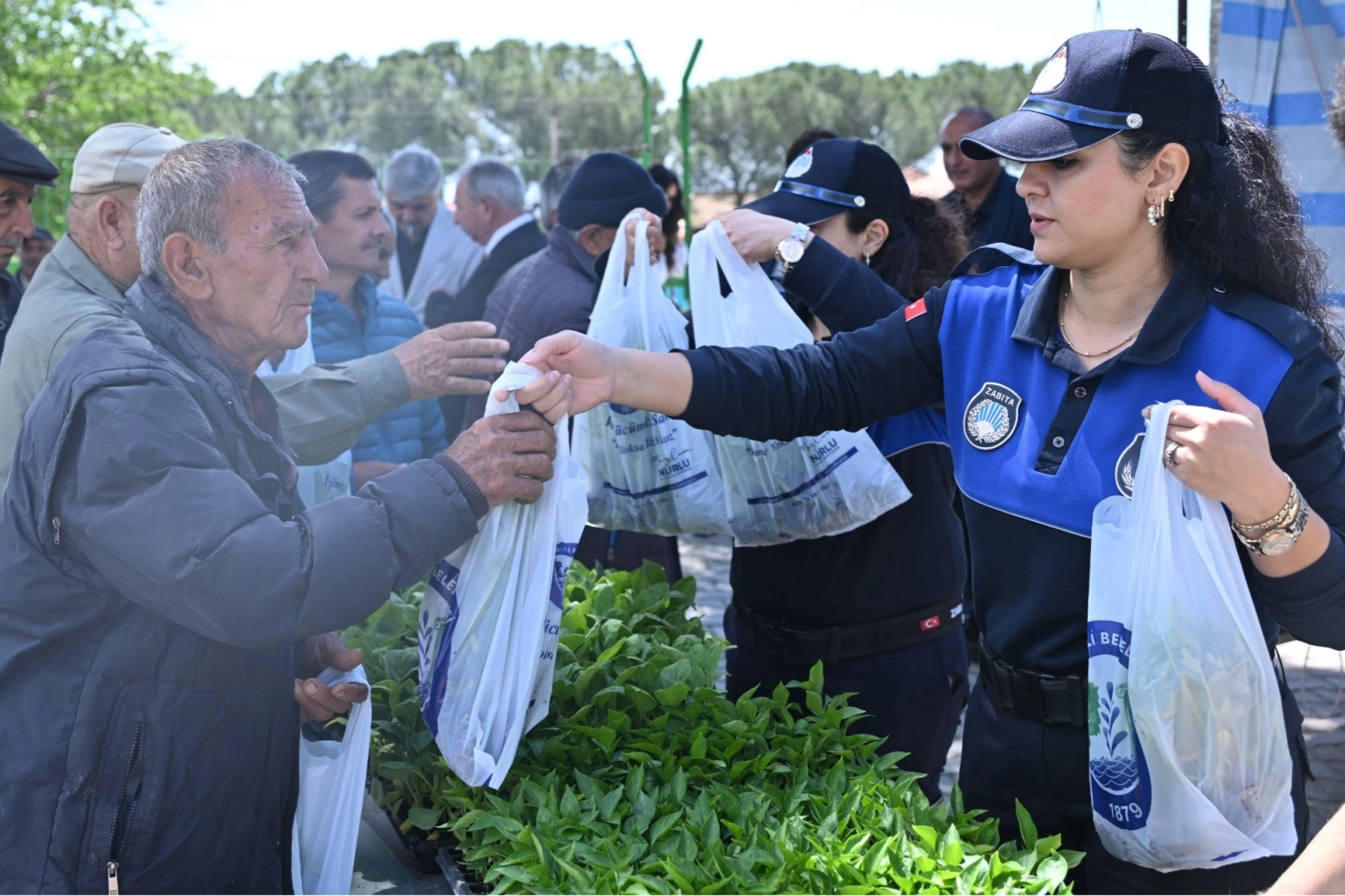 Manisa’da üreticilere 34 bin sebze fidesi dağıtıldı