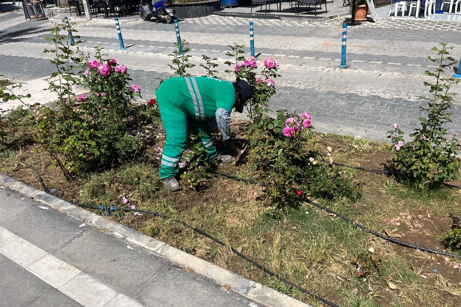 Muğla Milas'ta bayram öncesi bakım