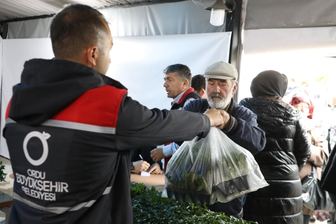 Ordu’da 300 bin yazlık sebze fidesi dağıtımı başladı