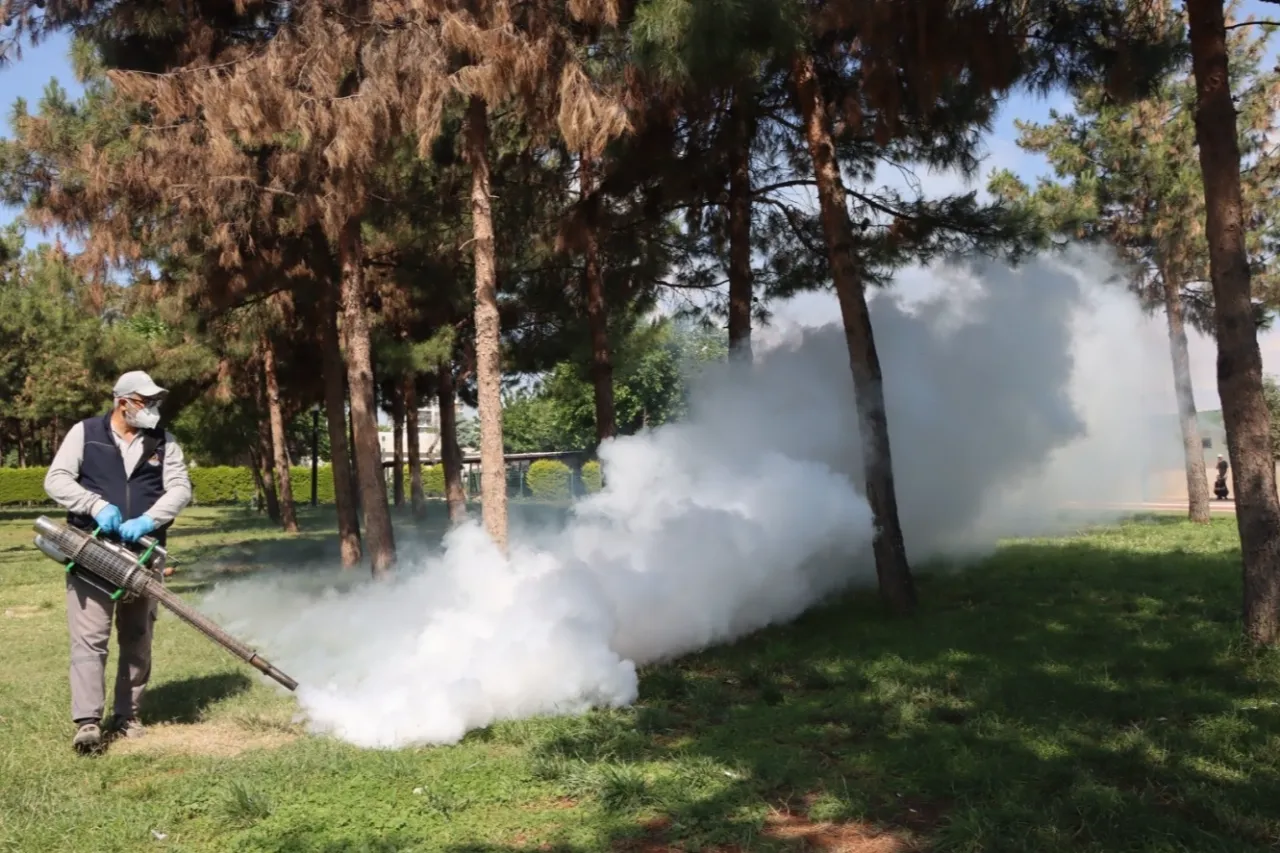Belediyeden haşereye karşı seferberlik