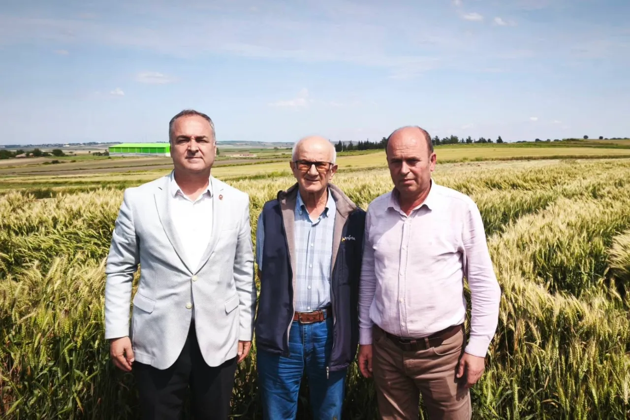 Edirne İpsala’dan TMO fiyatlarına ortak isyan!