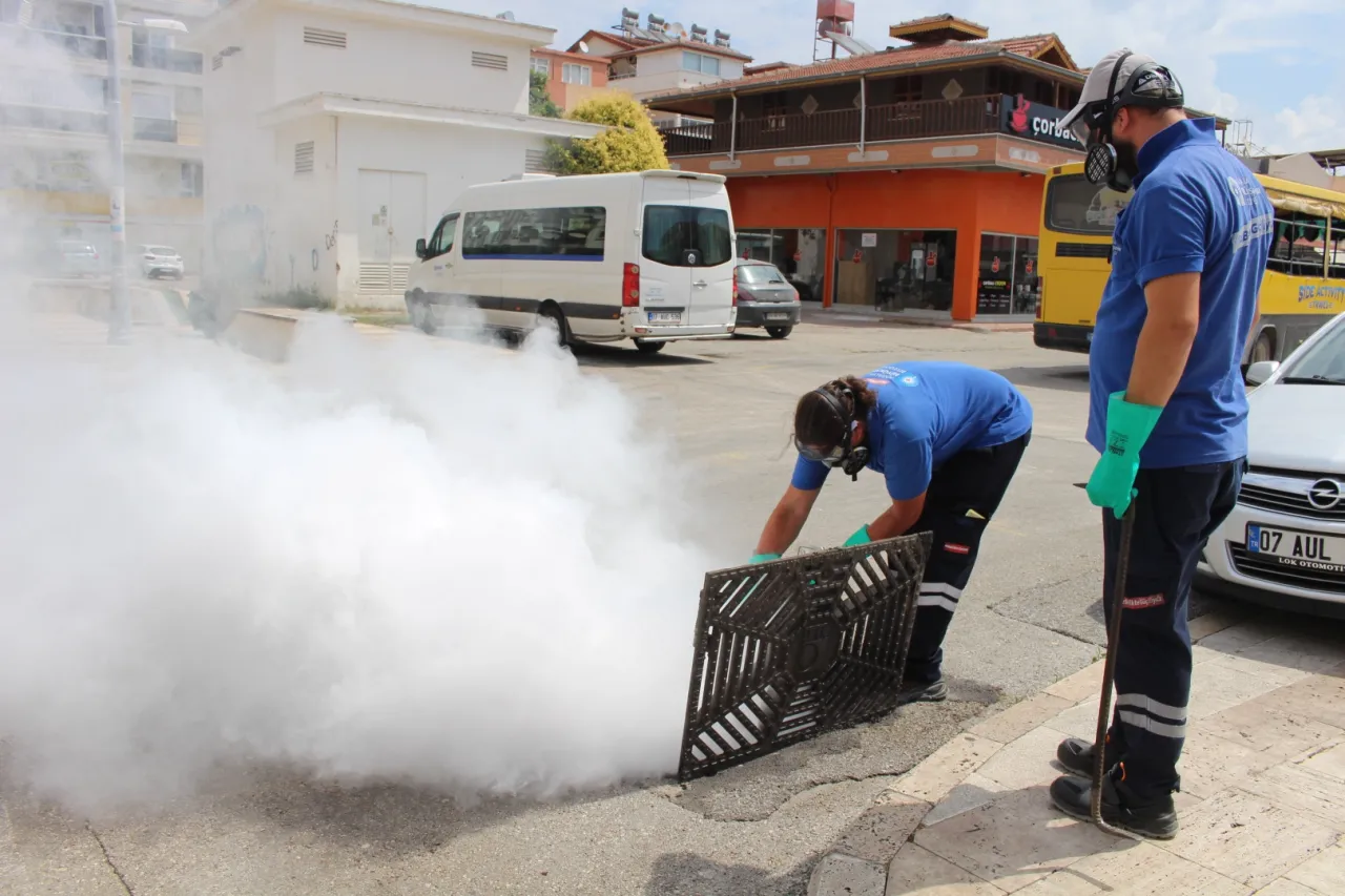 Antalya'da 19 ilçede yoğun vektörle mücadele