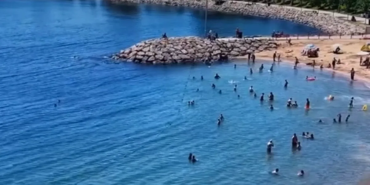Darıca sahilinde dehşet! Denizden 3 ceset çıktı!