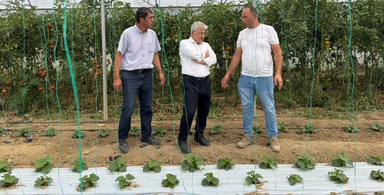 Böğürtlen üretim tesislerinde incelemelerde bulundular
