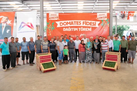 Mersin’de üreticiye domates fidesi desteği