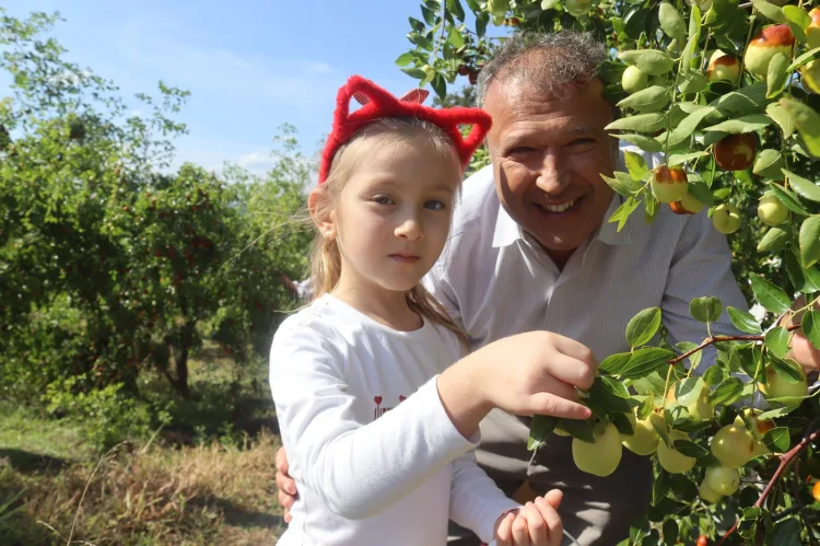 Çınar Çocuk Evi minikleri meyveleri dalından topladı