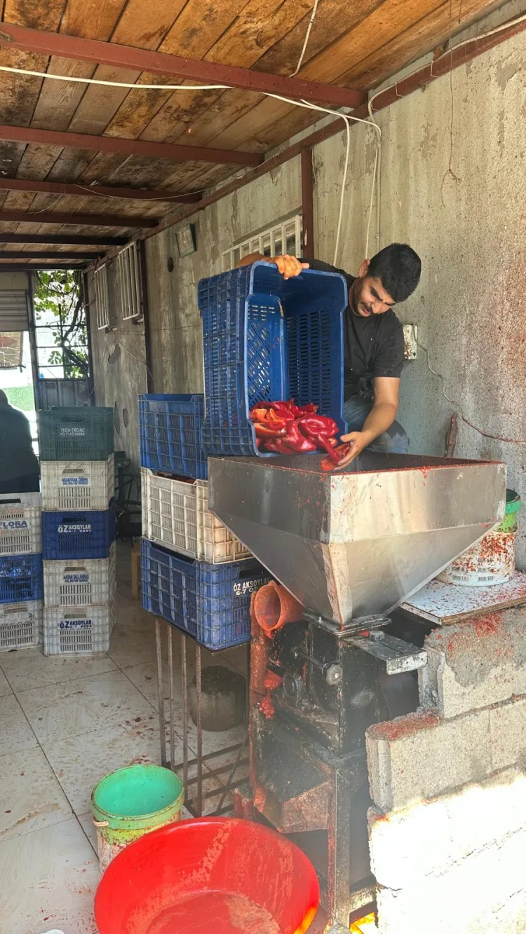 Adıyaman’da kış hazırlıkları hızlandı... Damlarda salça mesaisi başladı