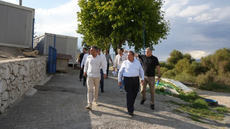 Milas’ta Sokak Hayvanları İçin Yeni Barınak İnşa Ediliyor