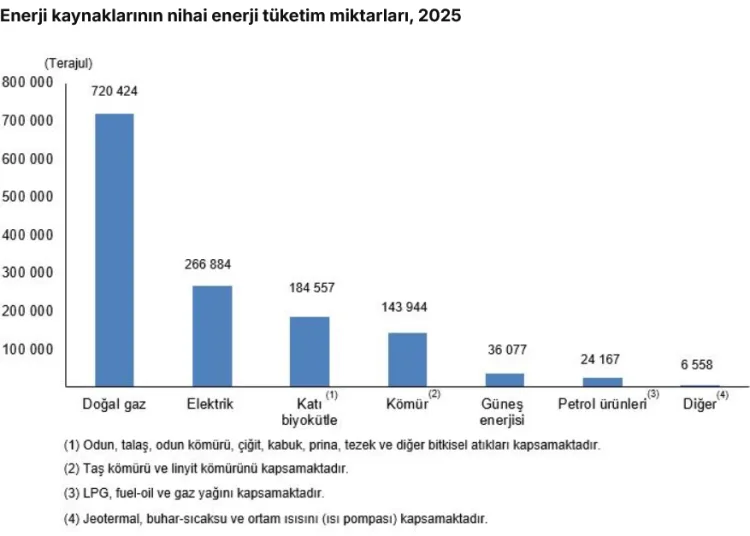 Hanelerin 2025 enerji tüketiminde doğal gaz ilk sırada
