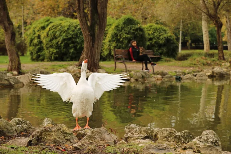 İstanbul'a nefes oluyor