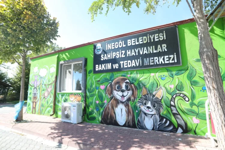 Bursa İnegöl’de en renkli hayvanlar günü etkinliği