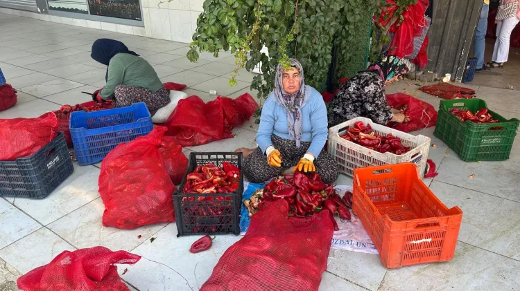 Adıyaman’da kış hazırlıkları hızlandı... Damlarda salça mesaisi başladı