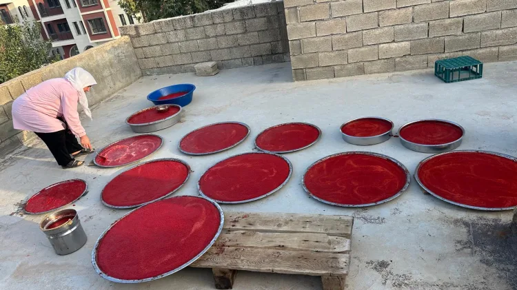 Adıyaman’da kış hazırlıkları hızlandı... Damlarda salça mesaisi başladı