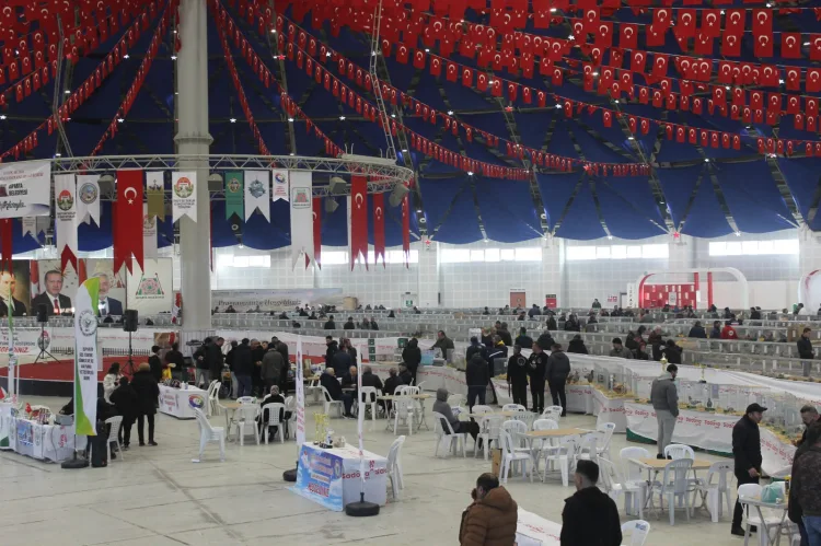 Batı Antalya’da bir ilk... Yetiştiriciler Finike'de buluşacak