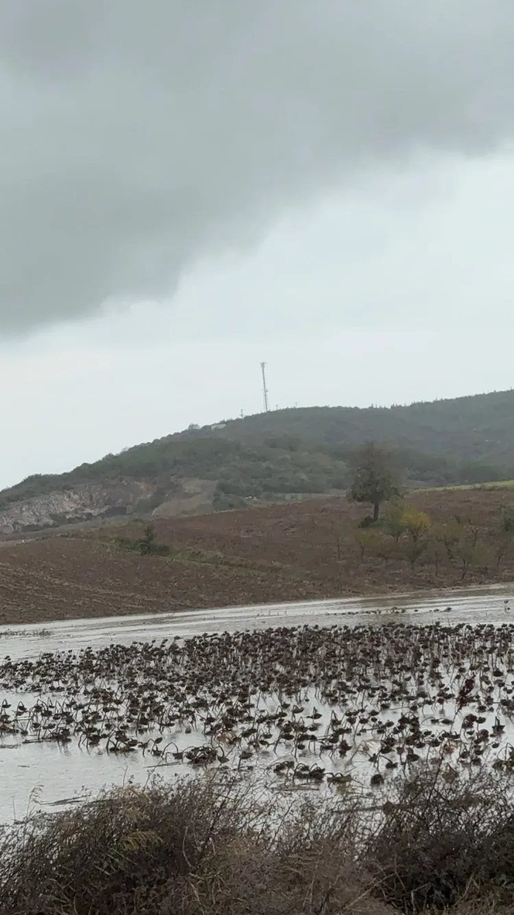Bursa’da çiftçilerden taşkın isyanı! Traktörlerle yolu kapattılar