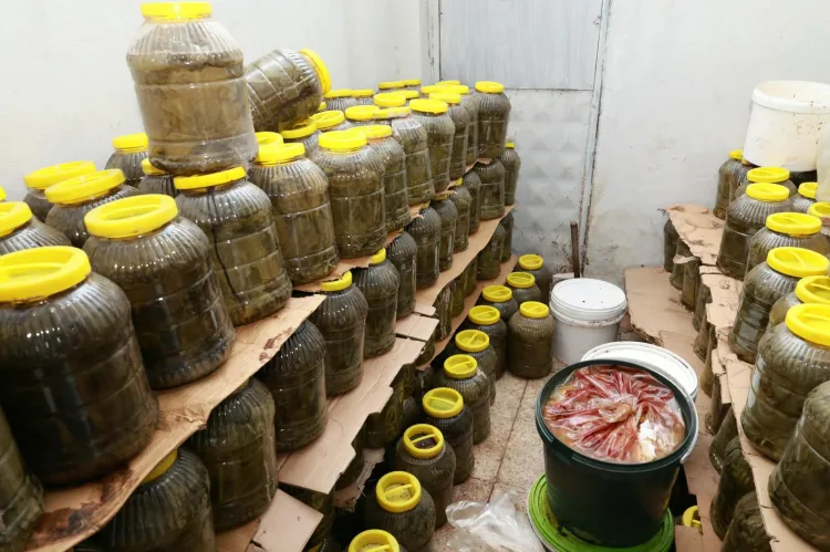 Bursa Osmangazi’de 6,5 ton gıda imha edildi