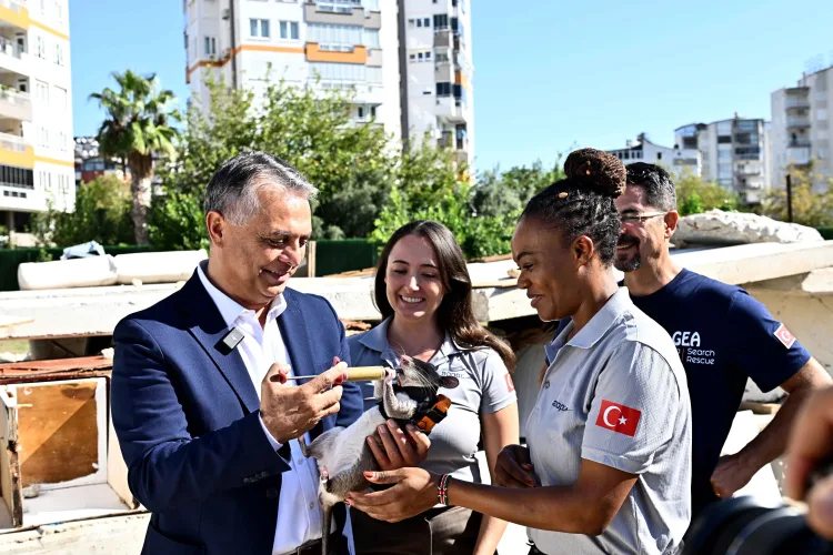 Antalya Muratpaşa'da Kahraman Fareler Projesi yerinde incelendi