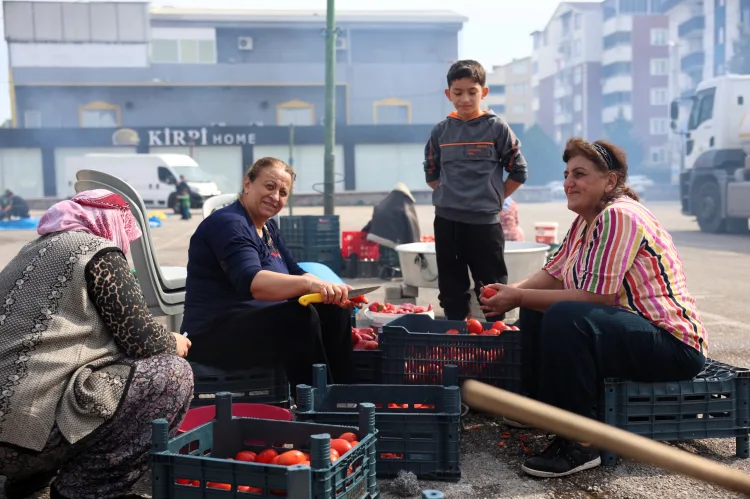 Bursa Osmangazi'de imece salça bereketi! 180 aileye kışlık destek